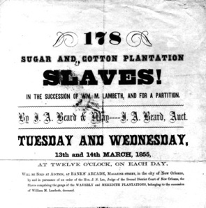 Sugar and Cotton Plantation Slaves Auction, New Orleans, March 1855